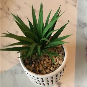 Meet your Posher, Ali